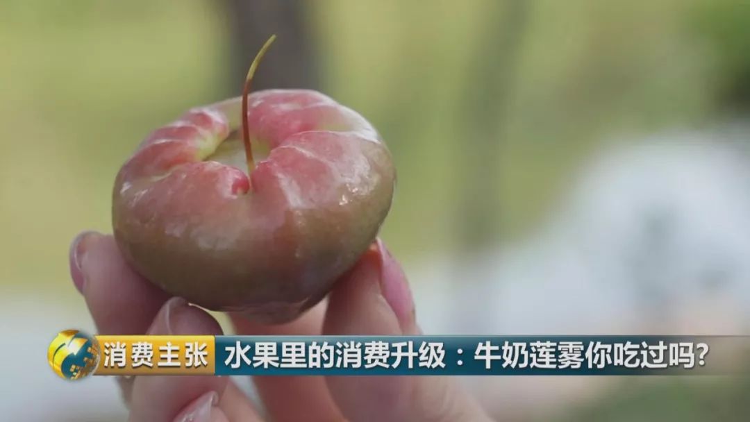 硒多少钱一盒（硒多少钱一盒）-硒宝网