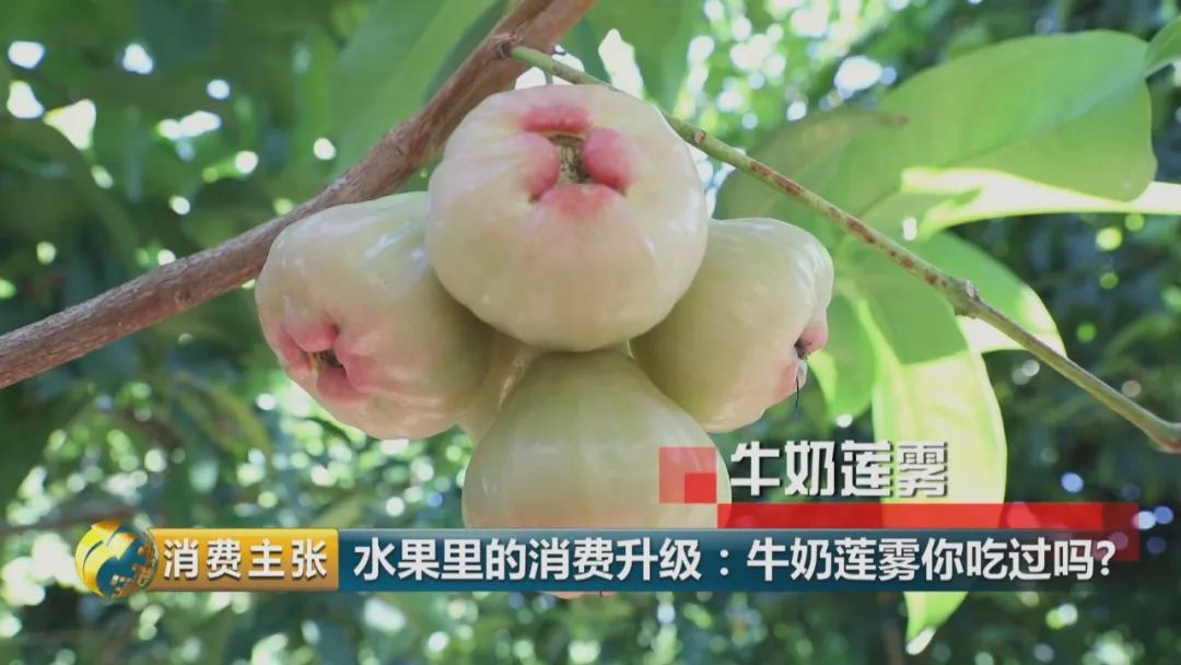 硒多少钱一盒（硒多少钱一盒）-硒宝网