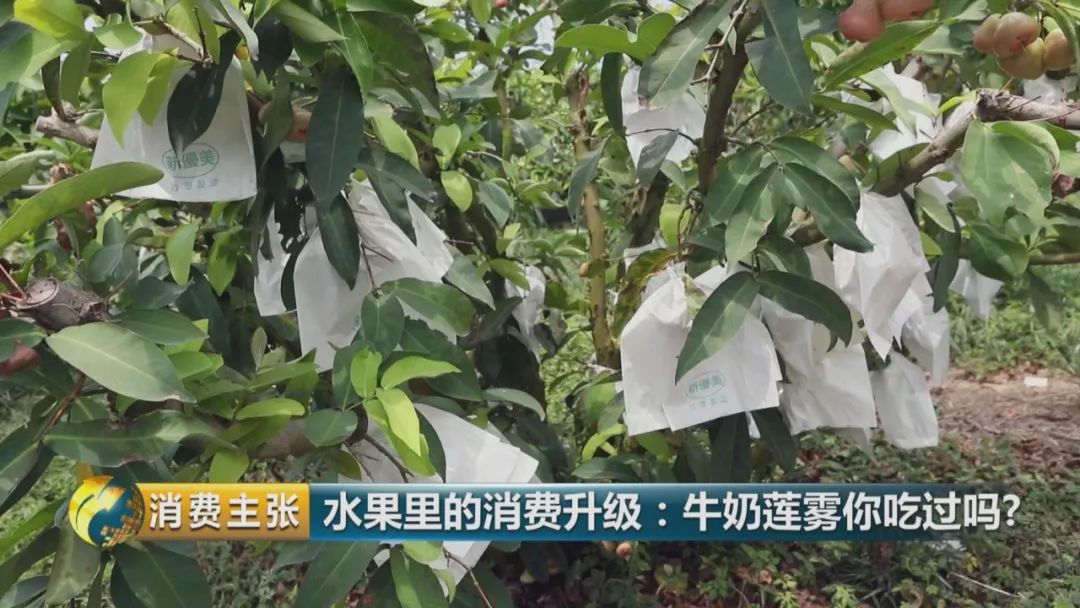 硒多少钱一盒（硒多少钱一盒）-硒宝网