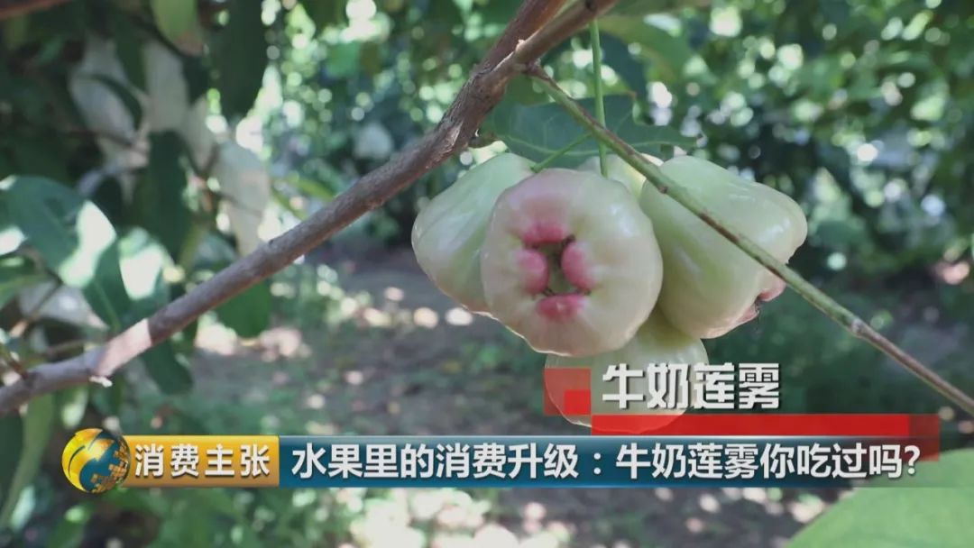 硒多少钱一盒（硒多少钱一盒）-硒宝网