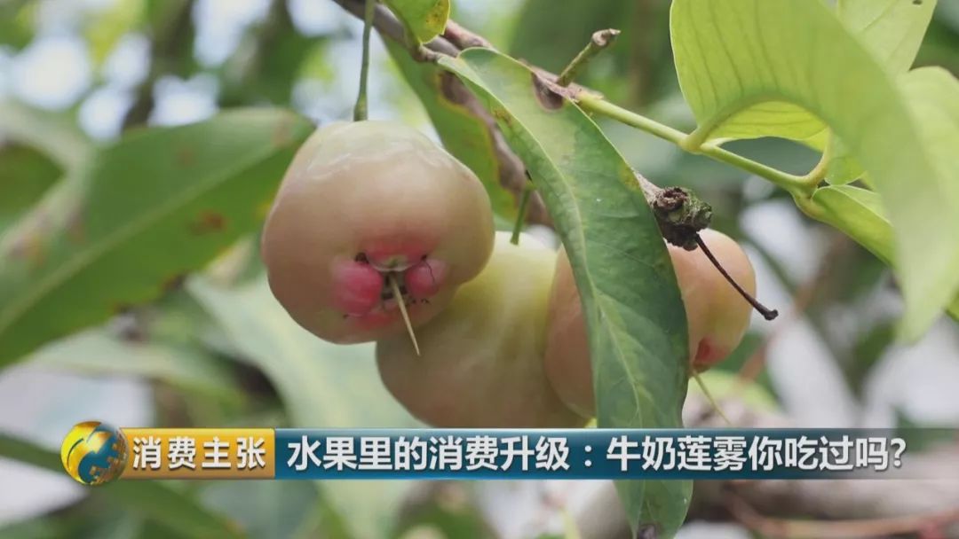 硒多少钱一盒（硒多少钱一盒）-硒宝网