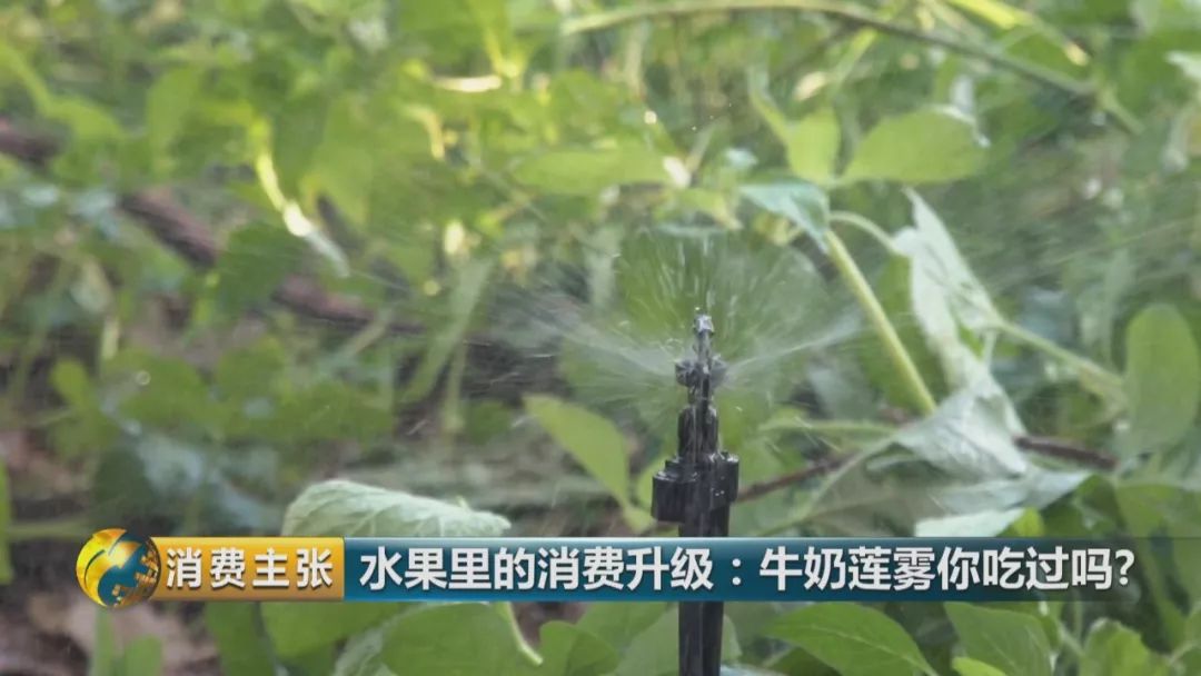 硒多少钱一盒（硒多少钱一盒）-硒宝网