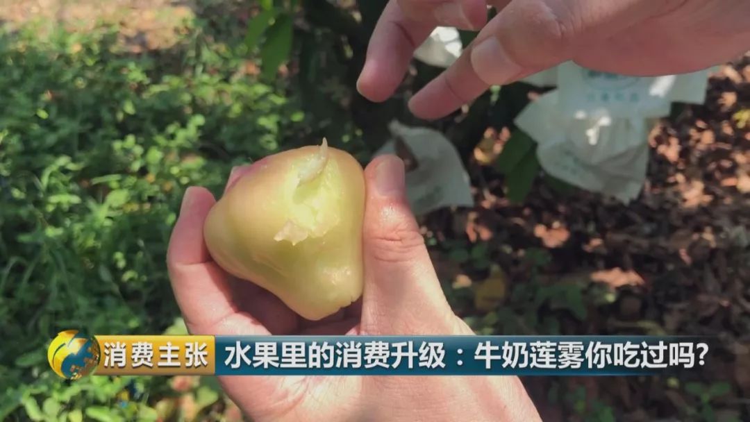 硒多少钱一盒（硒多少钱一盒）-硒宝网