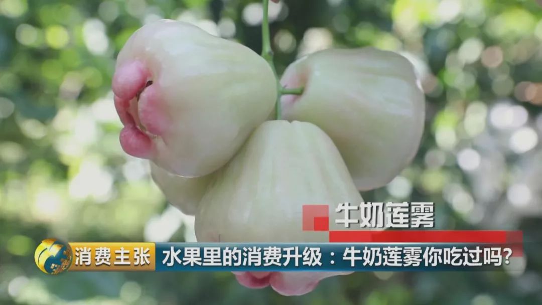 硒多少钱一盒（硒多少钱一盒）-硒宝网