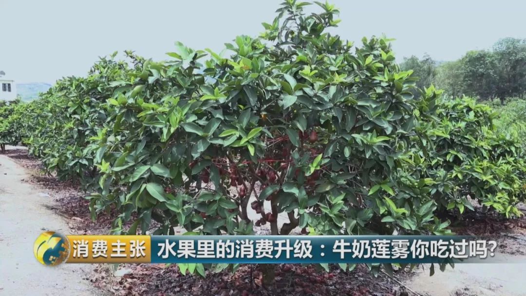 硒多少钱一盒（硒多少钱一盒）-硒宝网