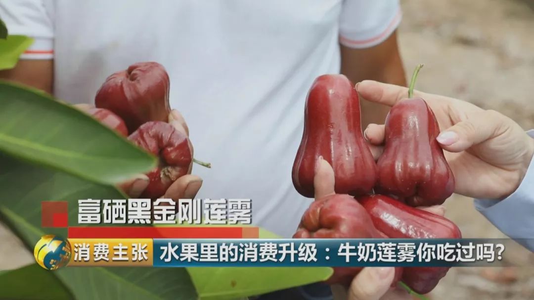 硒多少钱一盒（硒多少钱一盒）-硒宝网