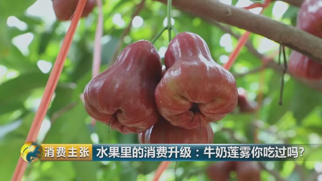 硒多少钱一盒（硒多少钱一盒）-硒宝网