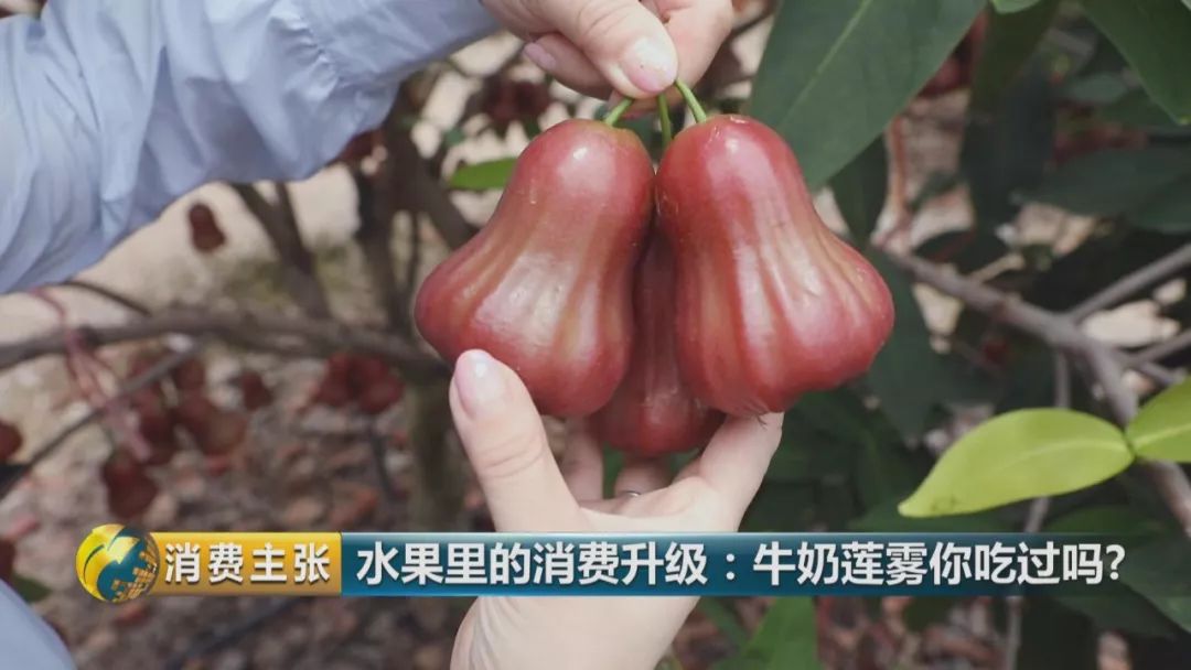 硒多少钱一盒（硒多少钱一盒）-硒宝网