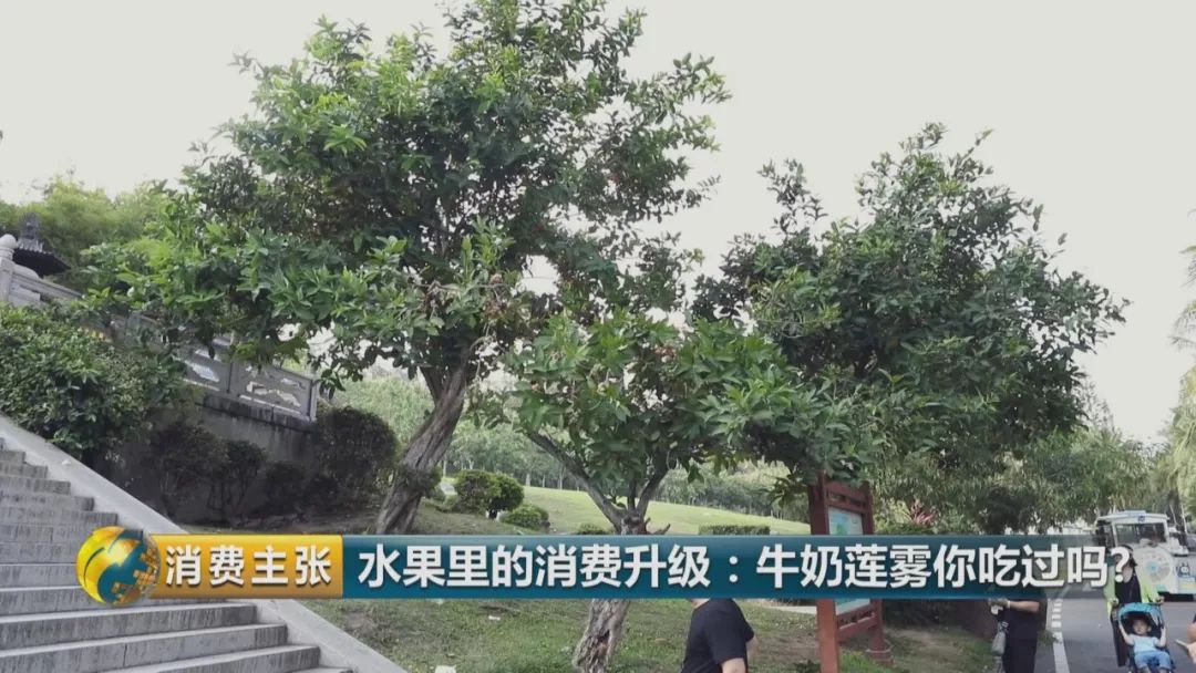 硒多少钱一盒（硒多少钱一盒）-硒宝网