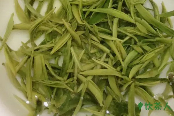 恩施玉露是什么茶(湖北恩施玉露茶叶)-硒宝网