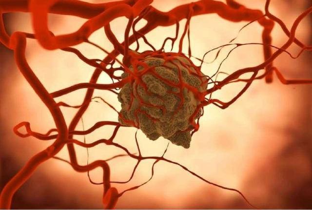 缺硒吃什么补得最快（缺硒食补）-硒宝网