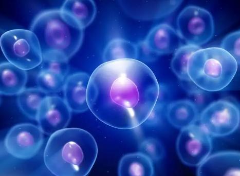 缺硒吃什么补得最快（缺硒食补）-硒宝网