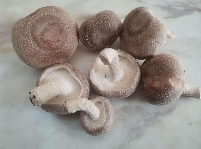 缺硒吃什么补得最快（缺硒食补）-硒宝网