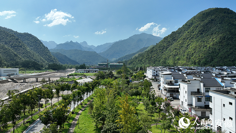 目前国内最好的硒(中国最好的硒产品)-硒宝网