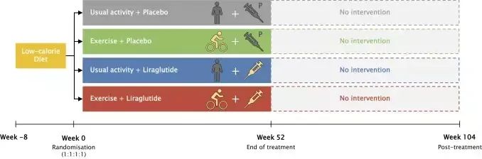 正常人打司美格鲁肽减肥治疗效果(司美格鲁肽减肥)-硒宝网