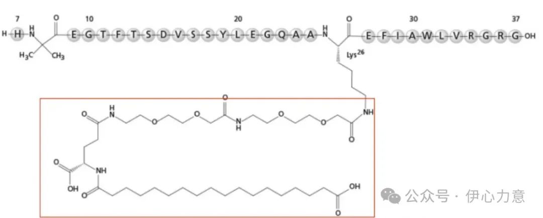 司美格鲁肽减肥效果有副作用吗(司美格鲁肽减肥)-硒宝网
