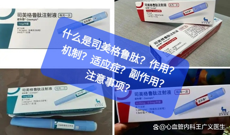 司美格鲁肽的作用机制(司美格鲁肽使用方法)-硒宝网