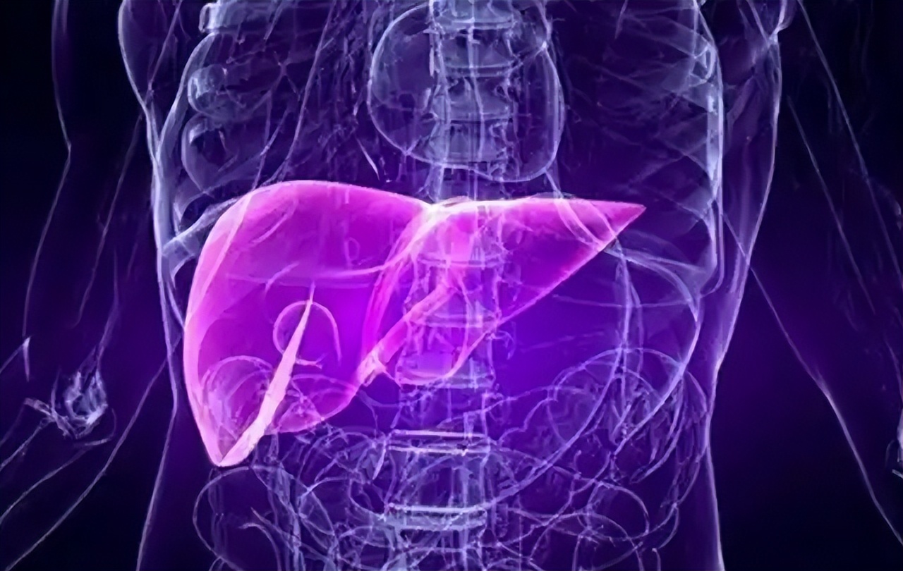 硒对肝脏的作用(肝脏硒)-硒宝网