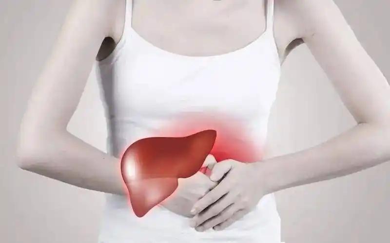 硒对肝脏的作用(肝脏硒)-硒宝网