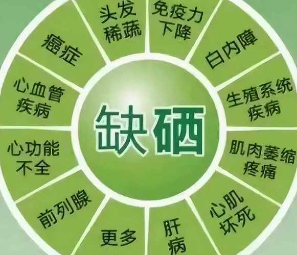 吃硒有什么好处(吃硒有什么用)-硒宝网