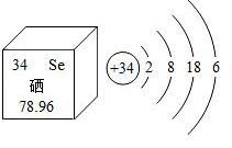 植物硒蛋白片怎么吃才科学(植物硒蛋白片的副作用)-硒宝网