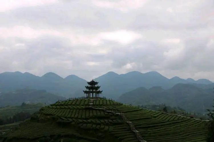 鸡蛋富硒是什么意思(鸡蛋富硒含量标准)-硒宝网