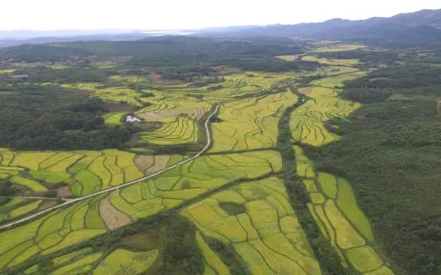 鸡蛋富硒是什么意思(鸡蛋富硒含量标准)-硒宝网