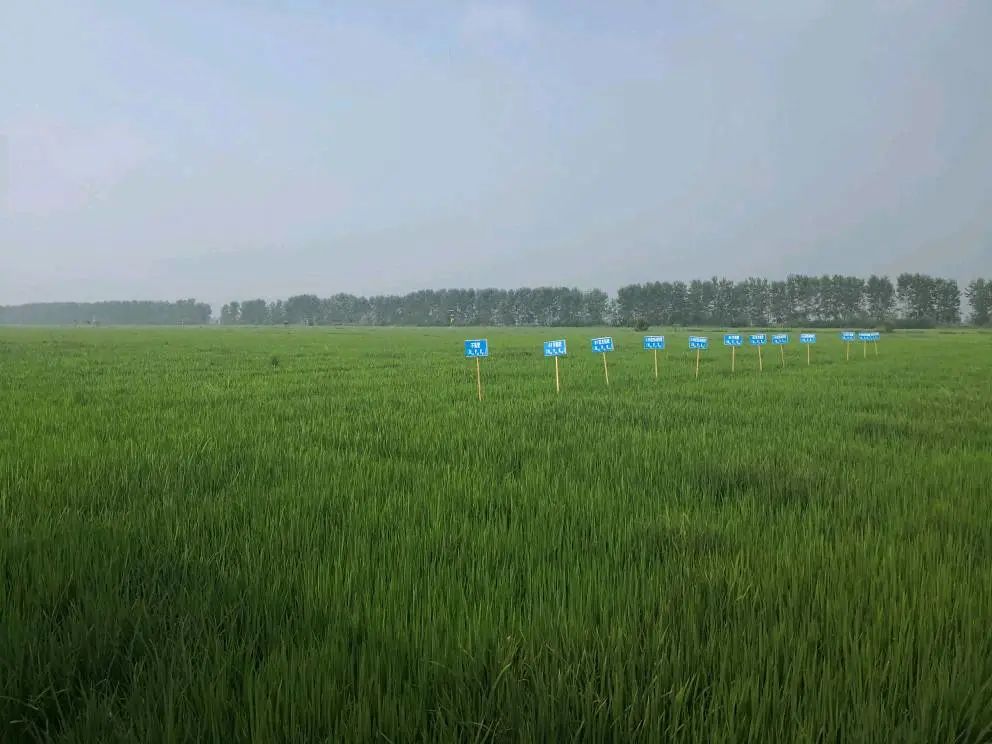 鸡蛋富硒是什么意思(鸡蛋富硒含量标准)-硒宝网