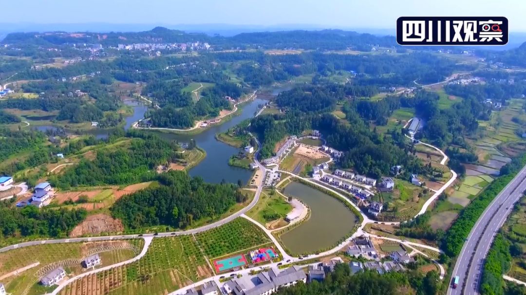 富硒猪肉多少钱一斤（富硒猪肉的好处）-硒宝网