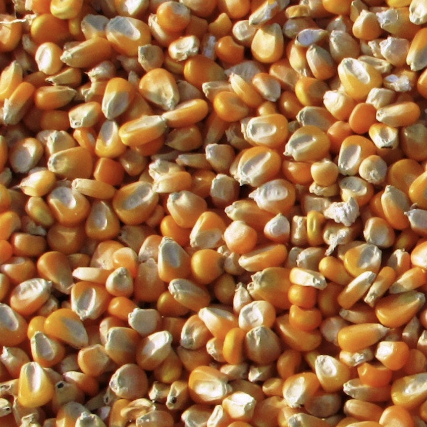 什么叫富硒鸡蛋（富硒鸡蛋的口感）-硒宝网