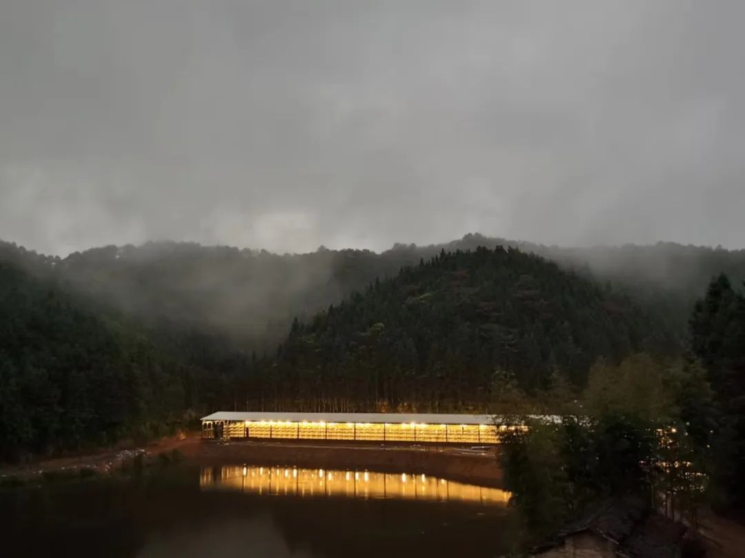 什么叫富硒鸡蛋（富硒鸡蛋的口感）-硒宝网