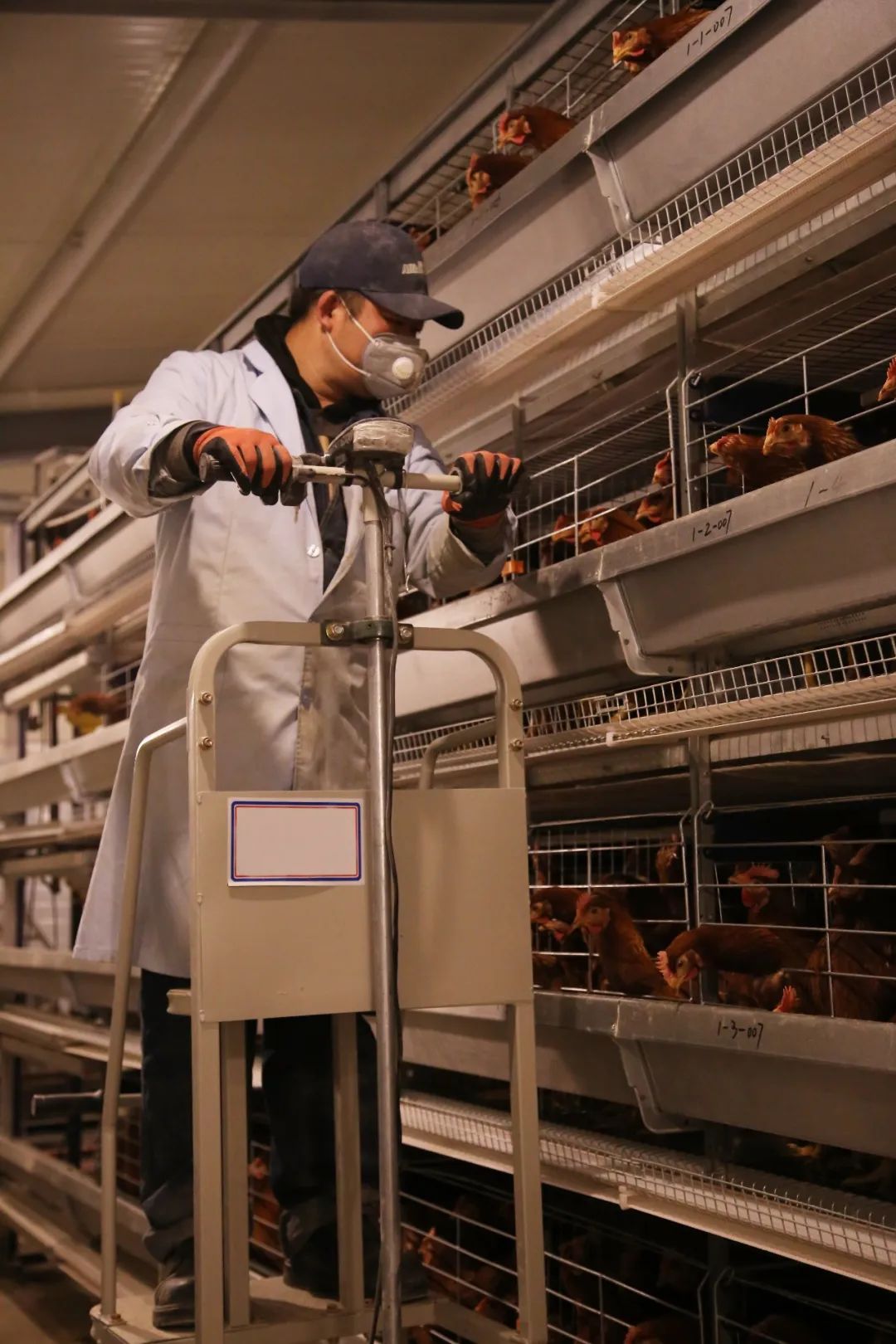 什么叫富硒鸡蛋（富硒鸡蛋的口感）-硒宝网