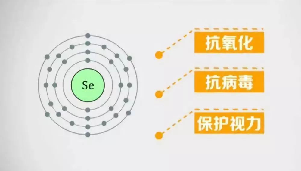 什么叫富硒鸡蛋（鸡蛋富硒是什么意思）-硒宝网