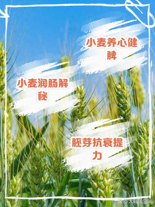 富硒小麦多少钱一斤（富硒小麦的功效与作用）-硒宝网