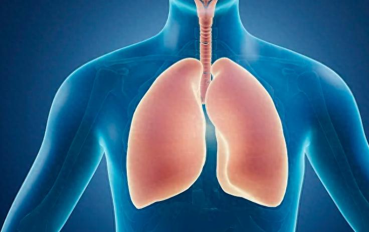 硒产品哪种最好(硒产品哪个比较好)-硒宝网