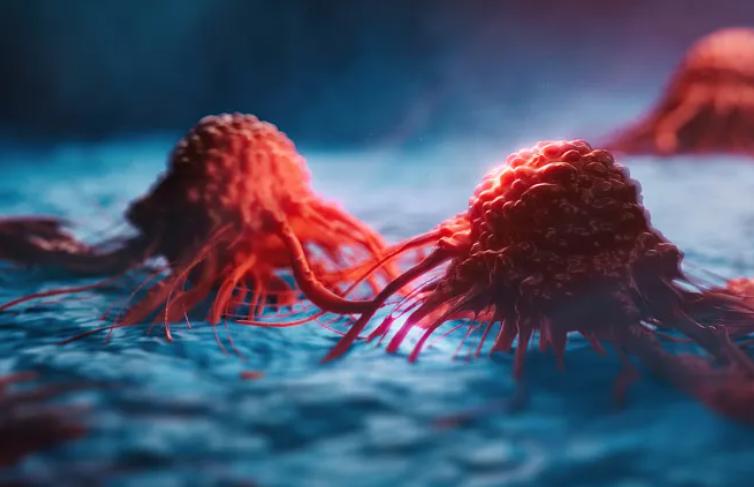 硒产品哪种最好(硒产品哪个比较好)-硒宝网