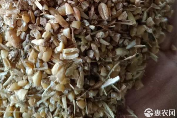 富硒小麦多少钱一斤（富硒小麦的营养价值）-硒宝网