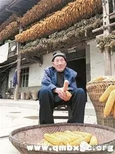 硒的美誉有哪些（美硒胶囊）-硒宝网