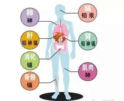 硒的美誉有哪些（美硒胶囊）-硒宝网