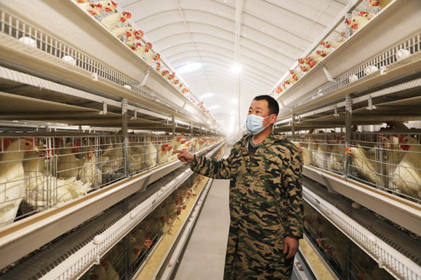 咯咯哒富硒鸡蛋（鸡蛋富硒作用与功效）-硒宝网