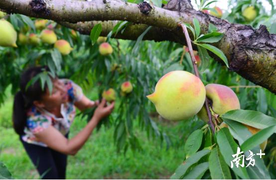 纳米硒多少钱一盒(纳米硒的研究进展)-硒宝网