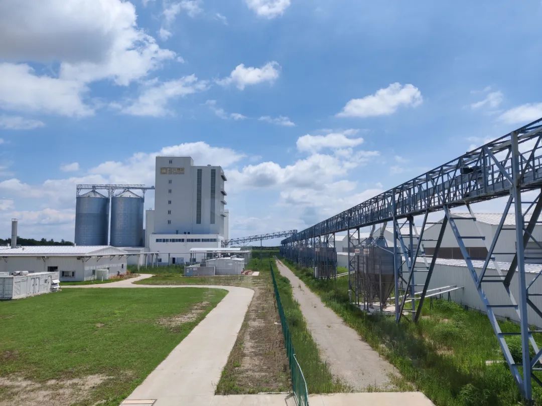 咯咯哒富硒鸡蛋(鸡蛋富硒标准是多少)-硒宝网