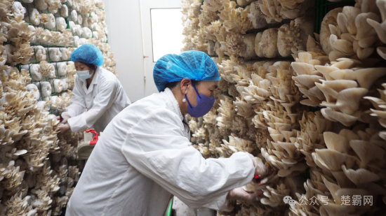 中农科富硒食品(农科院富硒)-硒宝网