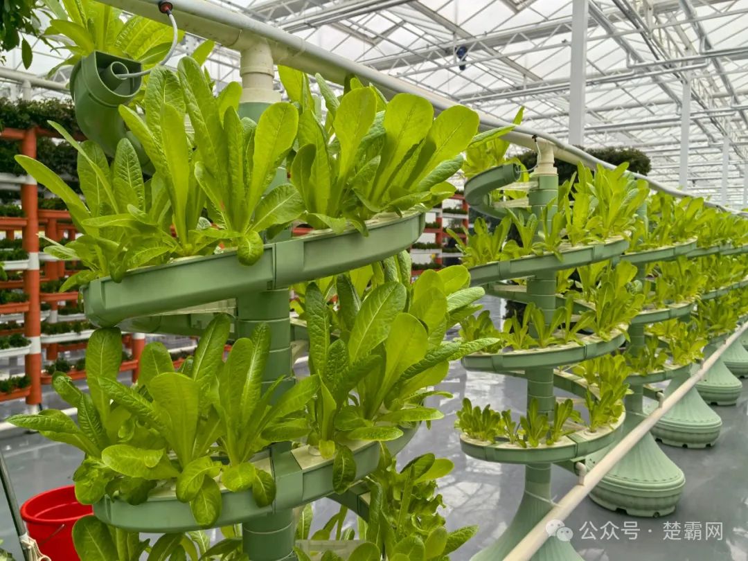 中农科富硒食品(农科院富硒)-硒宝网