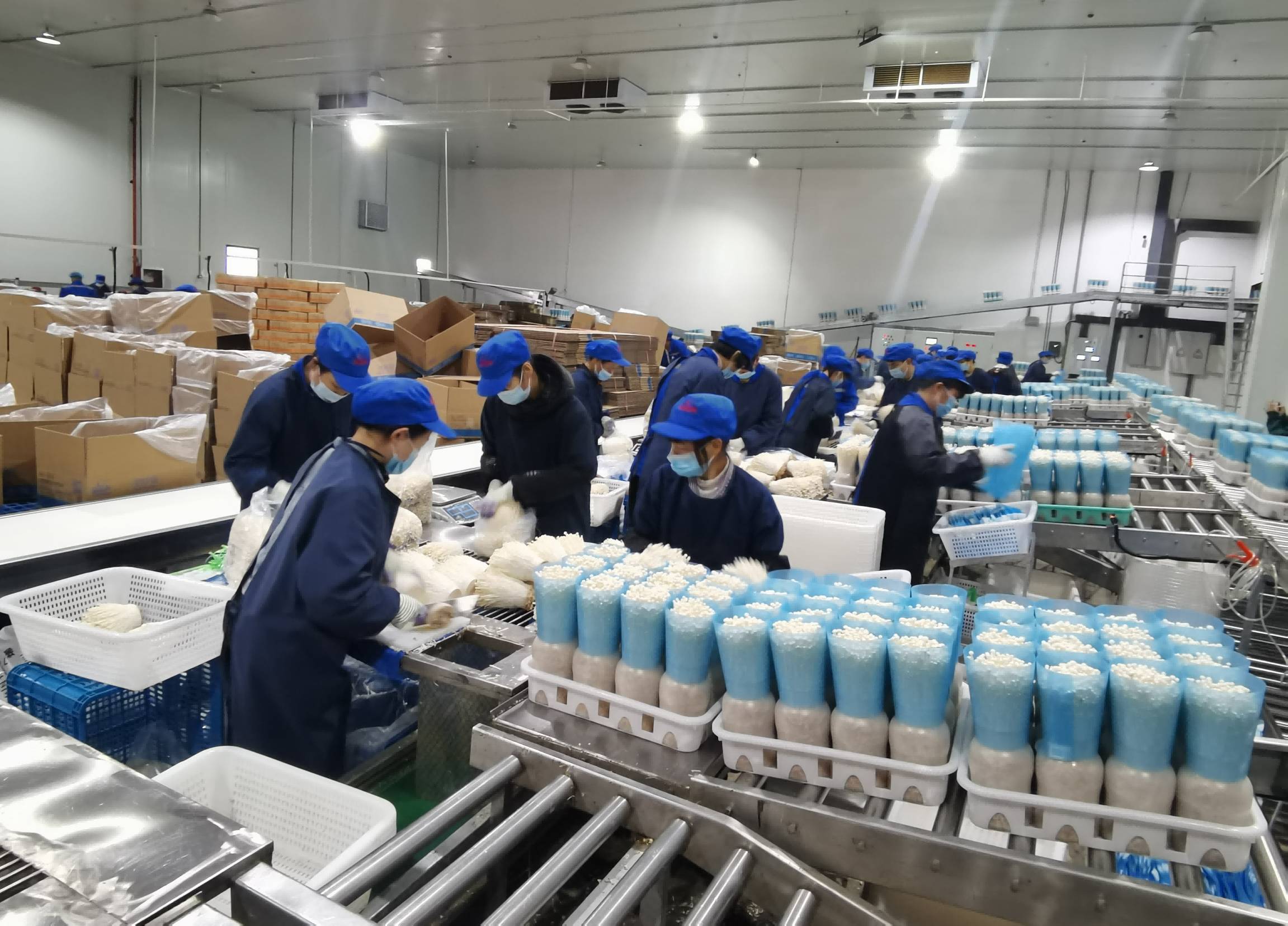 咯咯哒富硒鸡蛋（鸡蛋富硒标准是多少）-硒宝网