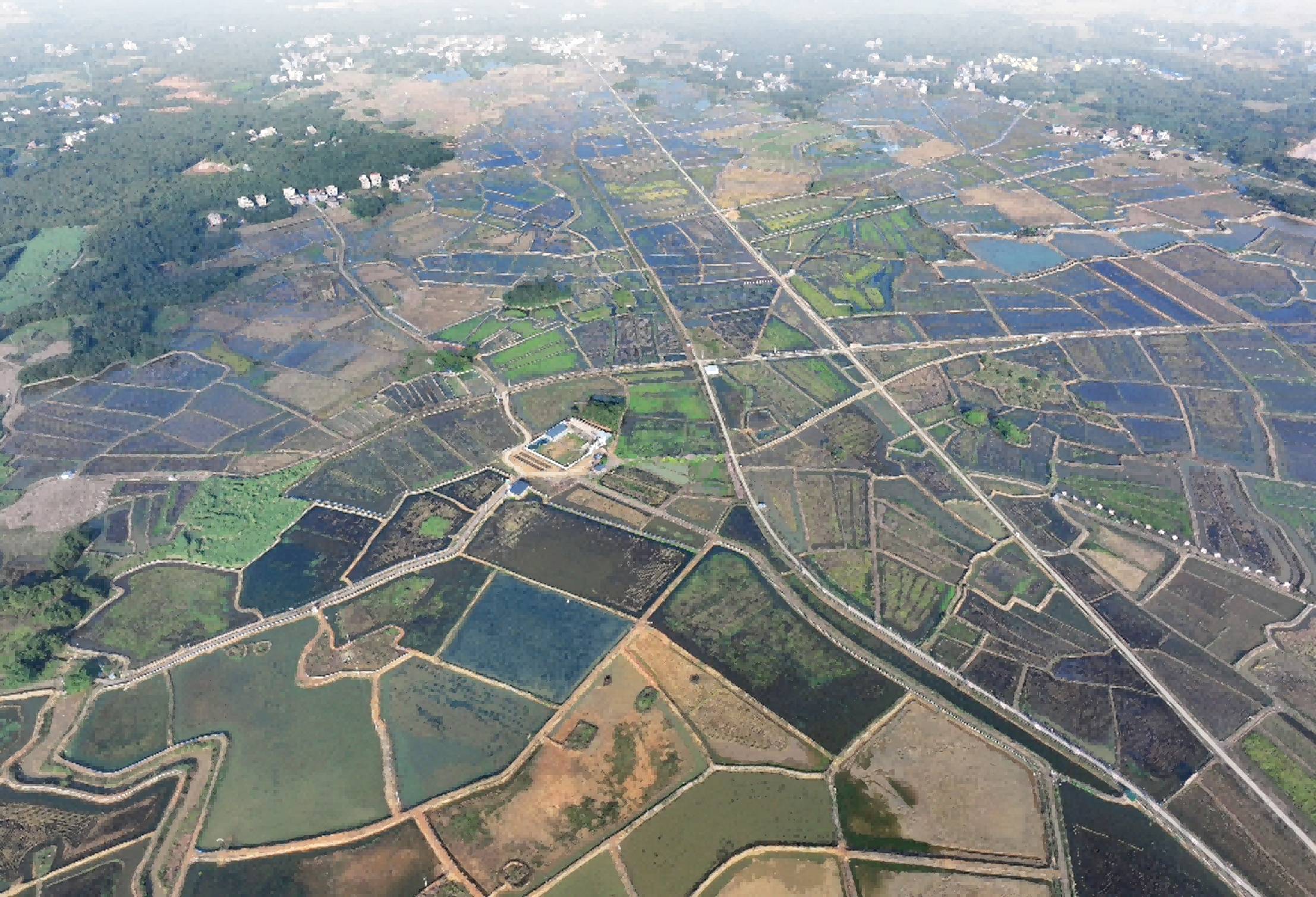 咯咯哒富硒鸡蛋（鸡蛋富硒标准是多少）-硒宝网