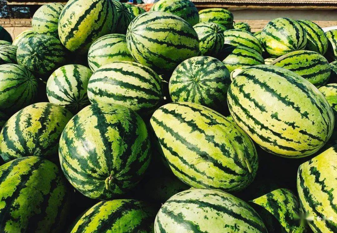 富硒西瓜图片(西瓜图片大全图片真实)-硒宝网
