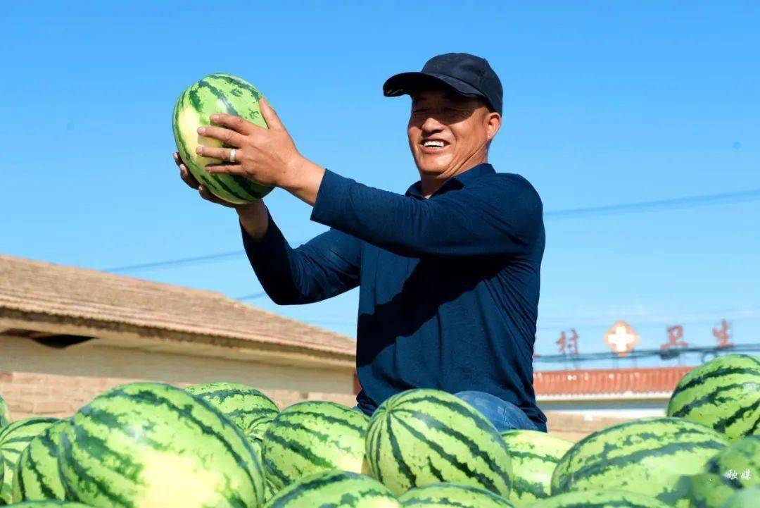 富硒西瓜图片(西瓜图片大全图片真实)-硒宝网