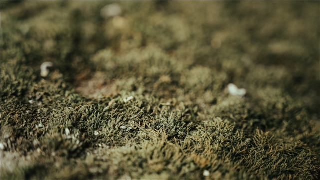 扬子富硒山泉水(扬子集团富硒山泉水广告视频)-硒宝网