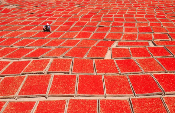 宁夏的硒砂瓜(宁夏的硒砂瓜)-硒宝网